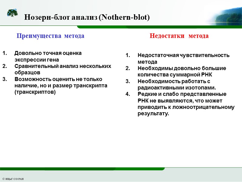 Нозерн-блот анализ (Nothern-blot) Преимущества метода Недостатки  метода Довольно точная оценка экспрессии гена Сравнительный